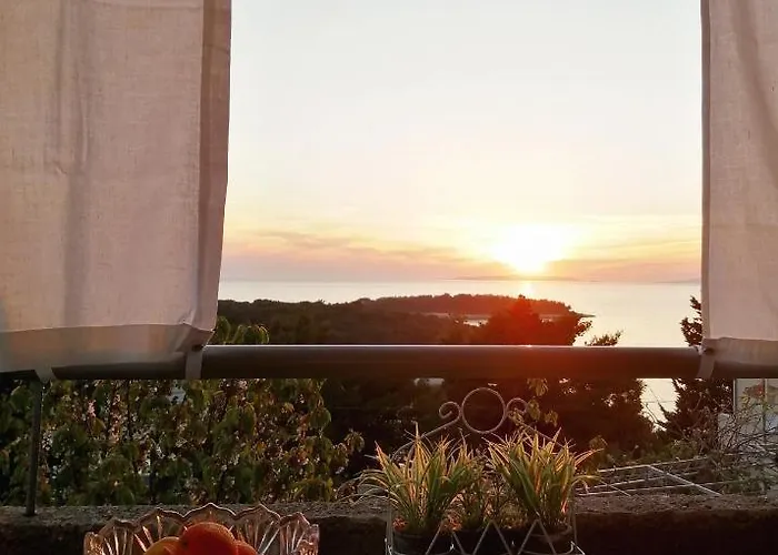 Radic בית הארחה 3*